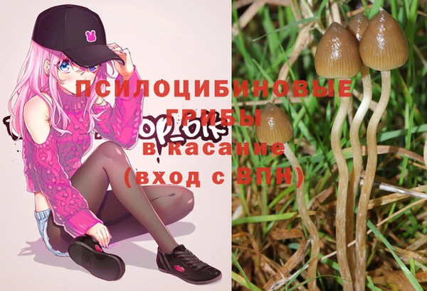 MESCALINE Абинск
