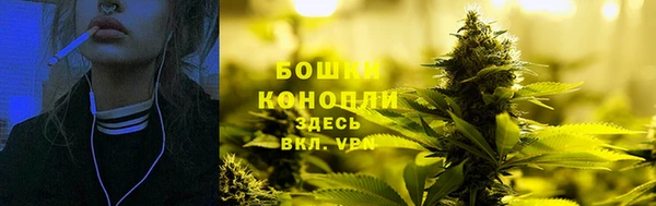 стаф Семикаракорск