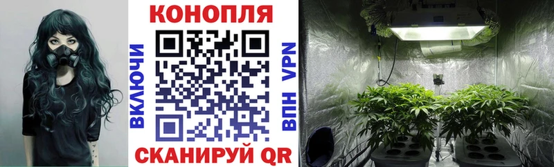 Марихуана индика  ссылка на мегу ТОР  Иннополис 